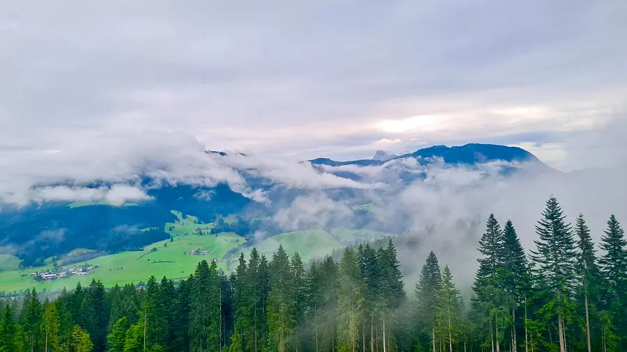 cfa91973-828f-480d-802b-a4417eb97e72