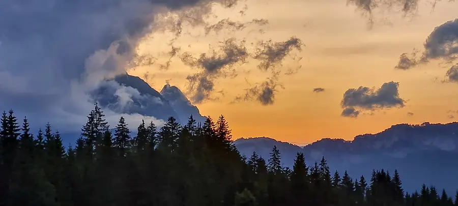 f309ac21-dab6-4318-b19f-deb6f701d9a7