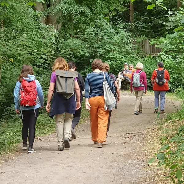 Wandern und Resilienz stärken in der Schorfheide