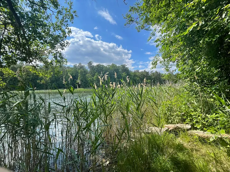 9b0a969f-3e61-4c2c-baf2-e59b2b8447da