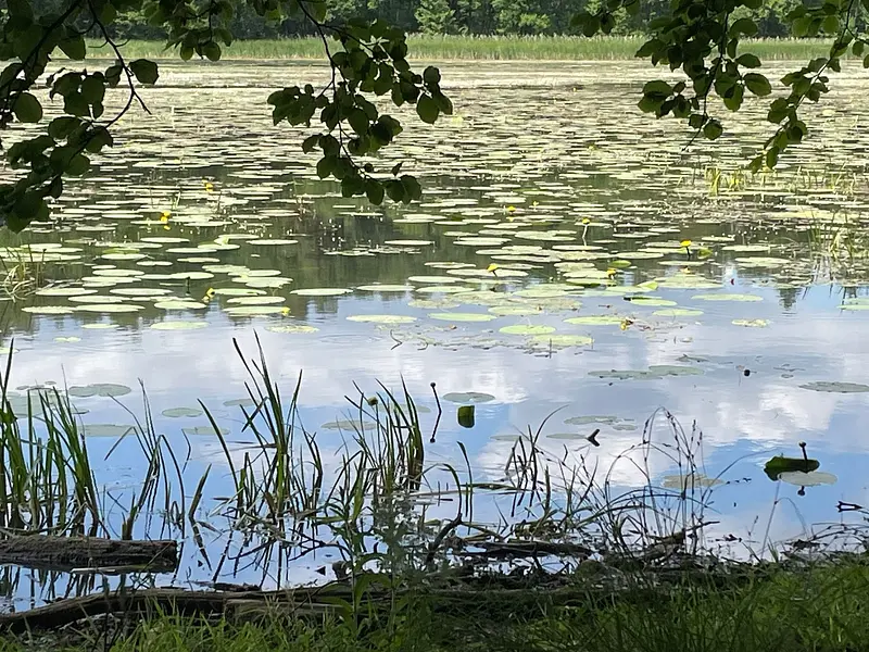 9f20aedc-3c7f-4831-b4c0-ebab78b99238