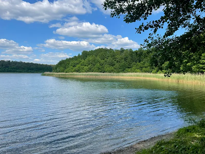 0583c031-1416-468f-b645-2ed9635e06a6