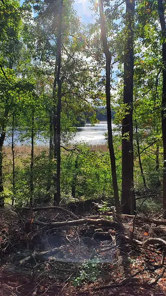 a2fc5a2d-521d-49f0-80f0-edf89eb899b3