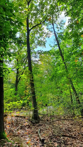 c1cf978d-b010-4ec7-bf8d-52851b91323b