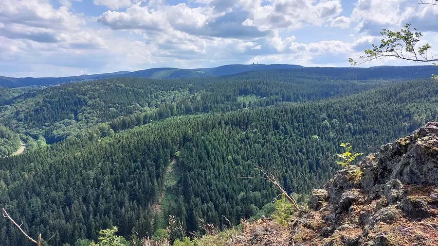 Wandern und Resilienz stärken in Oberhof am Rennsteig