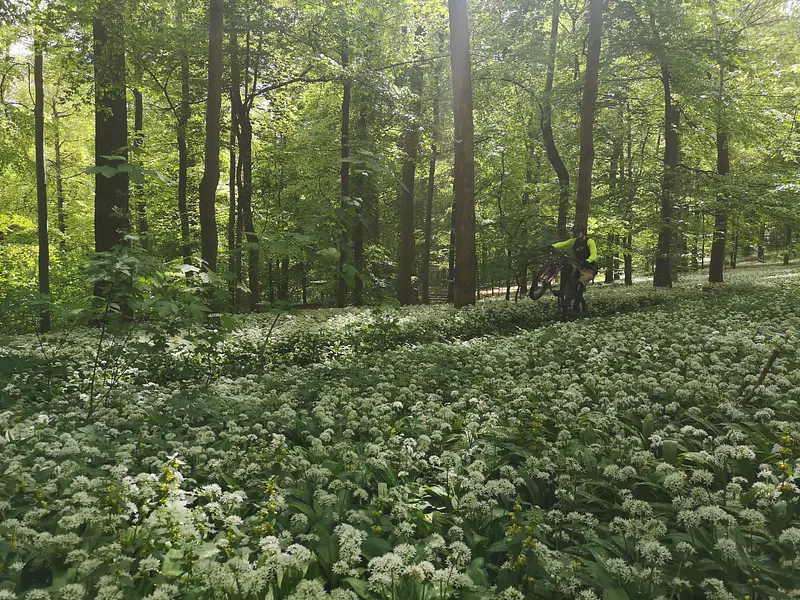 Wandern und Resilienz stärken in Kaprun Wandern und Resilienz stärken in Kaprun