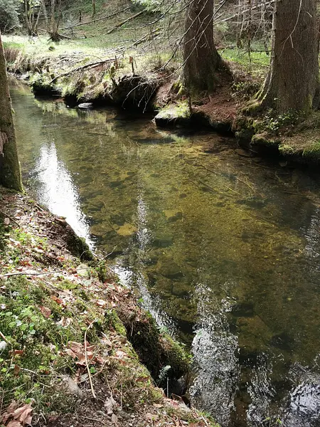 IMG-20240409-WA0024