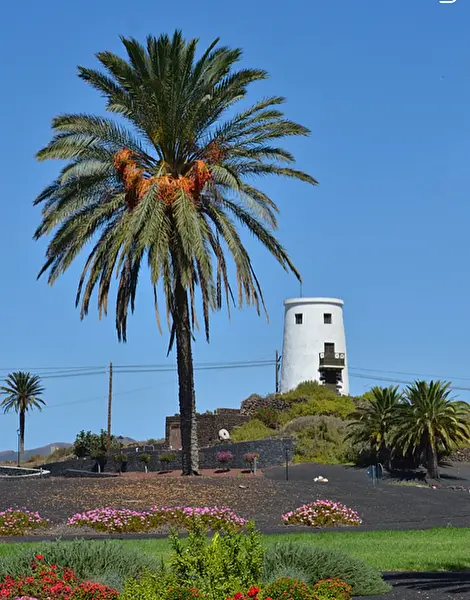 Yaiza El Molino