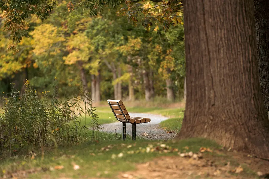 bench-7513188_1280