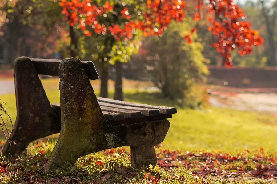 autumn-4828094_1280