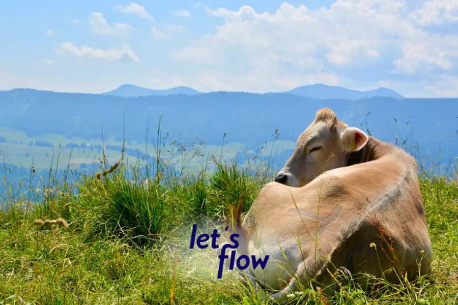 Wandern im Allgäu - Resilienz stärken und Soft Skills erlernen Wandern im Allgäu - Resilienz stärken und Soft Skills erlernen