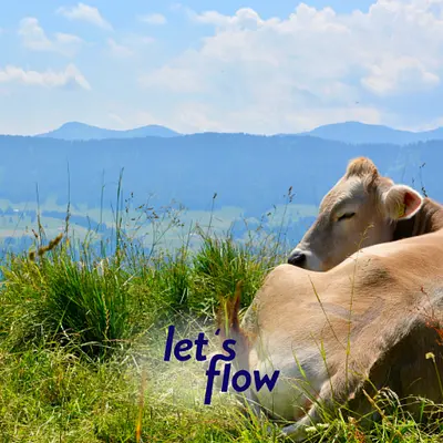 Wandern im Allgäu - Resilienz stärken und Soft Skills erlernen Wandern im Allgäu - Resilienz stärken und Soft Skills erlernen