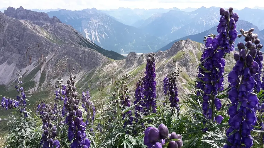 Wandern im Allgäu - Resilienz stärken und Soft Skills erlernen Wandern im Allgäu - Resilienz stärken und Soft Skills erlernen