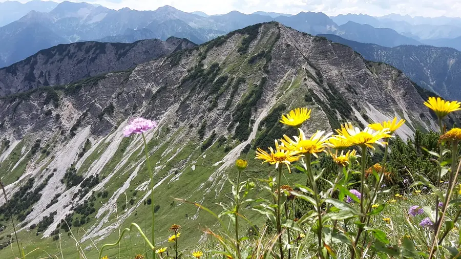 PHOTO-2018-07-25-19-37-35