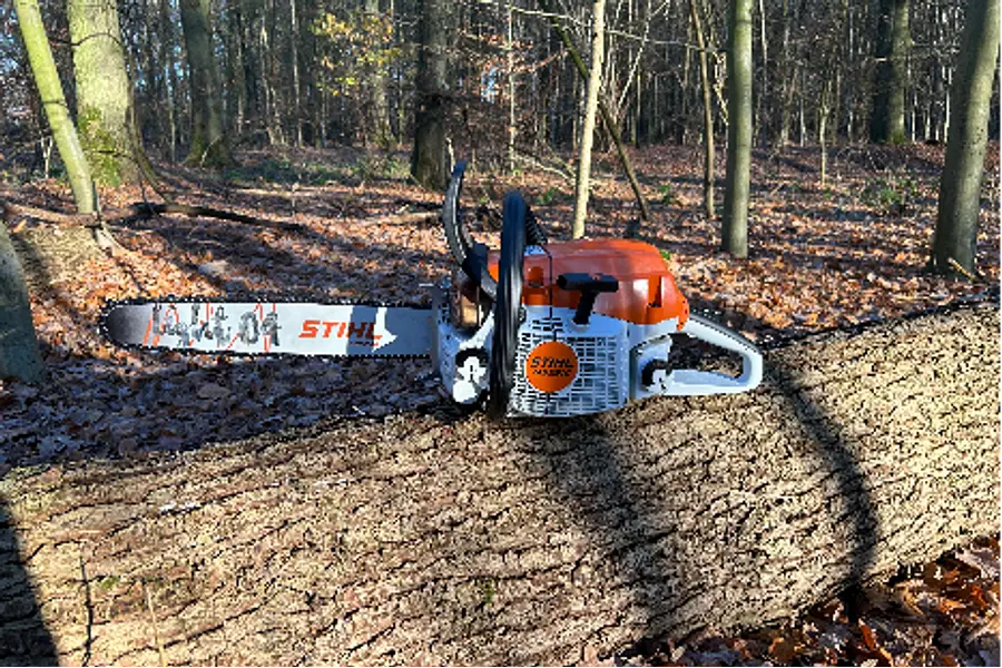 Motorsägenkurs mit Zertifikat AS Baum 1 / Module A+B