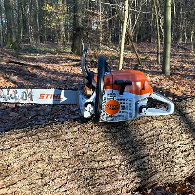 Motorsägenkurs mit Zertifikat AS Baum 1 / Module A+B