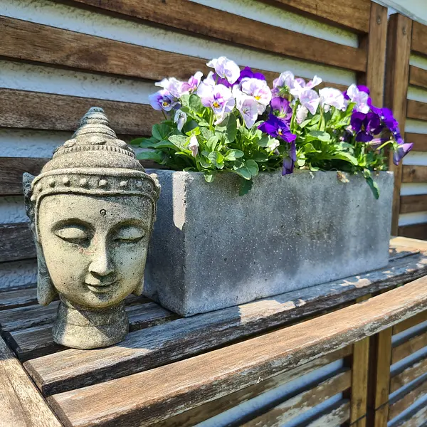 Online-Bildungsurlaub "Ayurveda & Yoga"