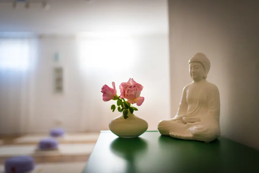 Online-Bildungsurlaub "Ayurveda & Yoga"