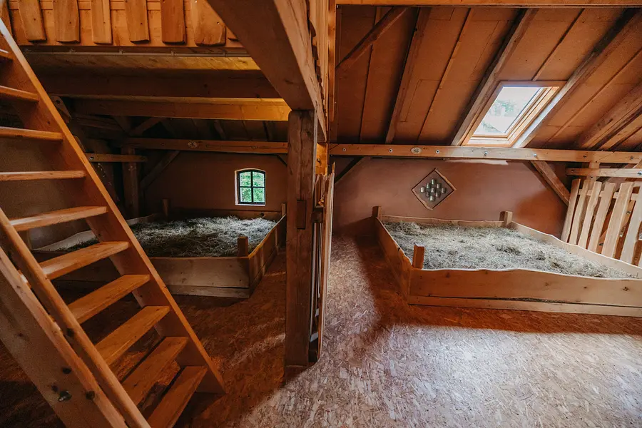 Basen-Intervallfasten & Feldenkrais