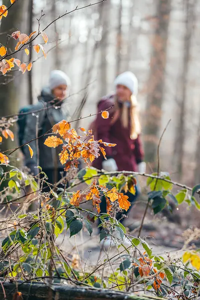 Buchingerfasten & Achtsamkeit mit Stille