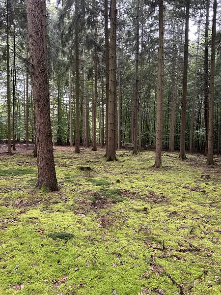 Diensthandy_Dez2024 107