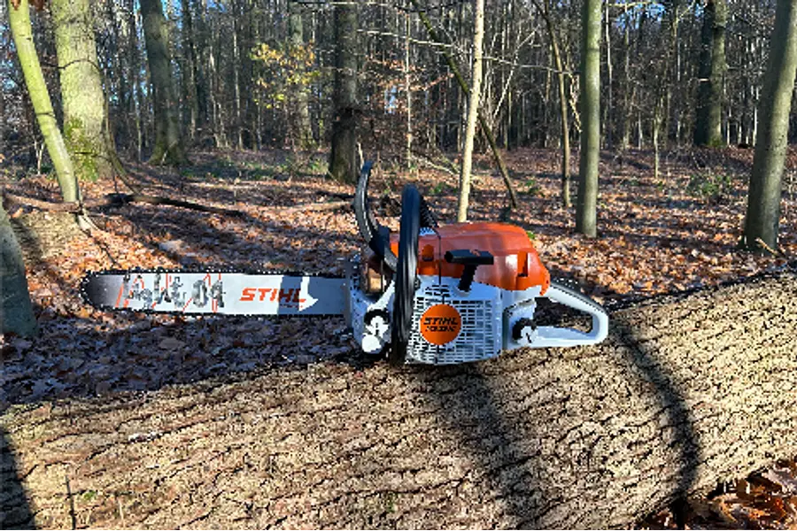 Motorsägenkurs mit Zertifikat AS Baum 1 / Module A+B
