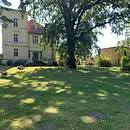 Mit innerer Ruhe stark im Beruf - Resilienztraining mit Yoga & Ayurveda