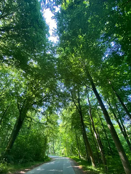 21a03435-7465-412a-8a0c-f8078d0f66af