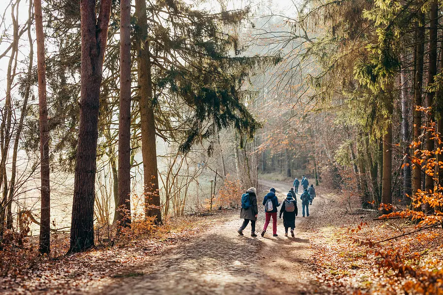 Fasten & Waldbaden mit Yoga
