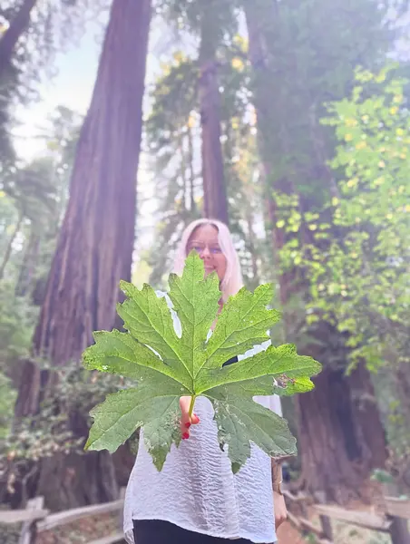 IMG_20241109_150805220