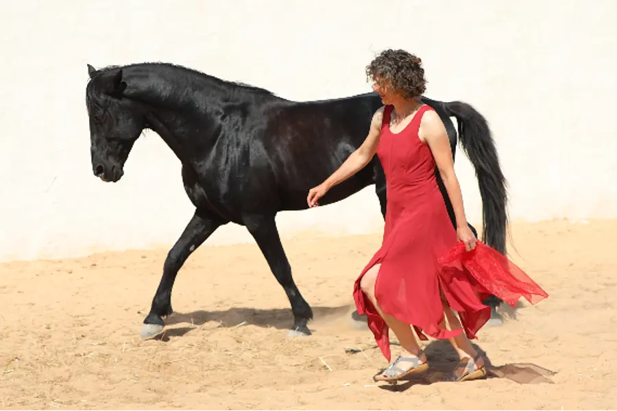 Führen & Geführt werden - Bildungszeit mit Pferde- und Tango-Coaching auf Djerba