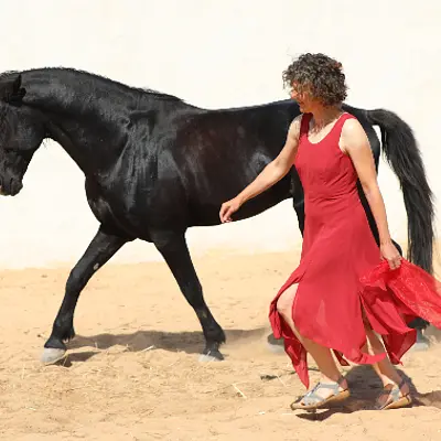 Führen & Geführt werden - Bildungszeit mit Pferde- und Tango-Coaching auf Djerba Führen & Geführt werden - Bildungszeit mit Pferde- und Tango-Coaching auf Djerba
