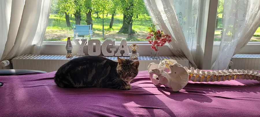 200h Yogalehrerausbildung Kompakt in Travemünde an der Ostsee 