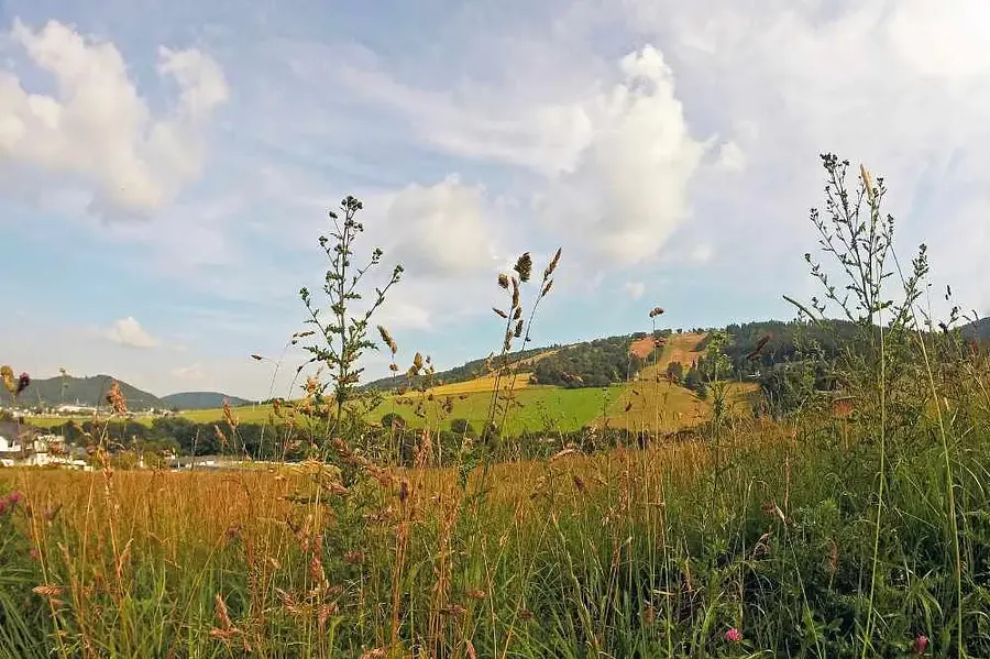 Bild Website (1000 x 666 px) (10)