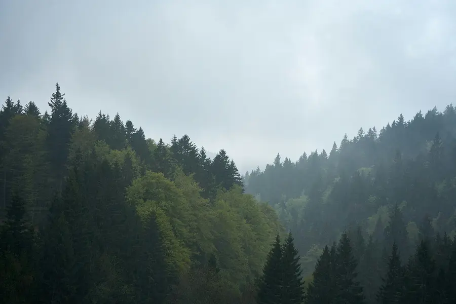 wolfgang-hasselmann-dvRcD4a_WW4-unsplash