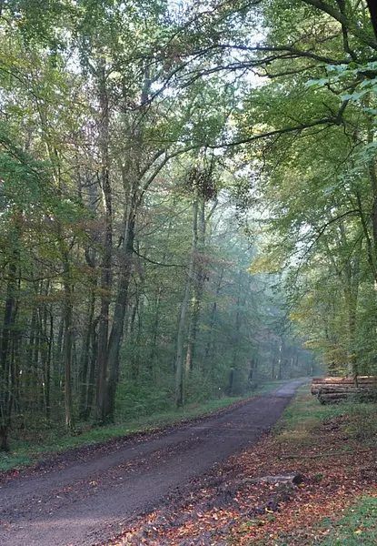 Bildschirmfoto 2025-09-16 um 15.14.04