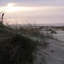 Stressbewältigung & Selbstführung: mehr Energie im (Berufs-) Alltag mit Qigong und Yoga auf Borkum