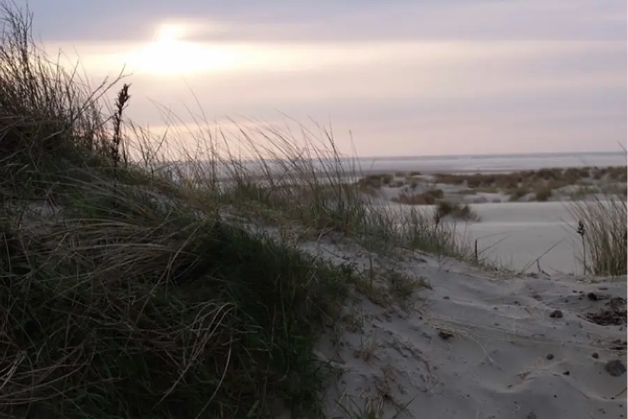 Stressbewältigung, Sinnorientierung & Selbstführung mit Yoga, Qigong & Atemkraft auf BORKUM