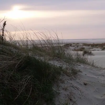 Stressbewältigung, Sinnorientierung & Selbstführung mit Yoga, Qigong & Atemkraft auf BORKUM