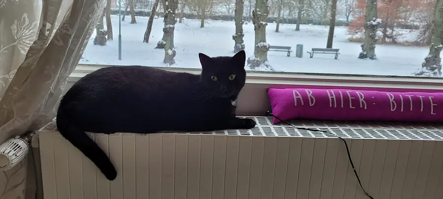 408521266_6854475797980834_8063834122124807135_n