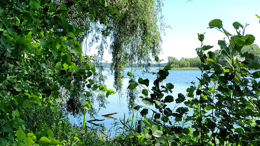 Innere Stärke entwickeln - Beruflichen Herausforderungen begegnen [unterstützt durch die Feldenkrais-Methode] 