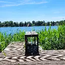 Innere Stärke entwickeln - Beruflichen Herausforderungen begegnen [unterstützt durch die Feldenkrais-Methode] 