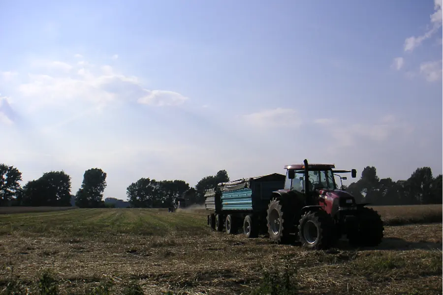 Vom Feld in den Supermarkt und dann auf den Teller… wie läuft das heute mit der Landwirtschaft?