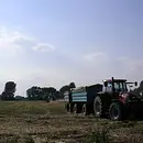 Vom Feld in den Supermarkt und dann auf den Teller… wie läuft das heute mit der Landwirtschaft?