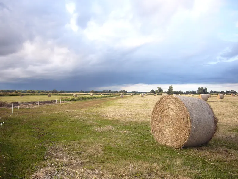 Vom Feld in den Supermarkt und dann auf den Teller… wie läuft das heute mit der Landwirtschaft?