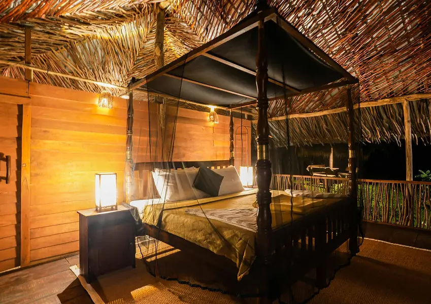 Bild 1Bett beleuchtet The Forestry Camps - Belihuloya -SRI LANKA Wellness Escapes - 2023[9]