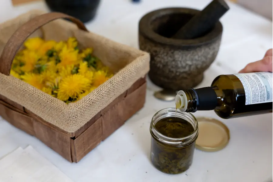Heilende Pflanzen – Heilpflanzenkunde praktisch auf dem Wildrosenhof Heilende Pflanzen – Heilpflanzenkunde praktisch auf dem Wildrosenhof