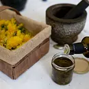 Heilende Pflanzen – Heilpflanzenkunde praktisch auf dem Wildrosenhof