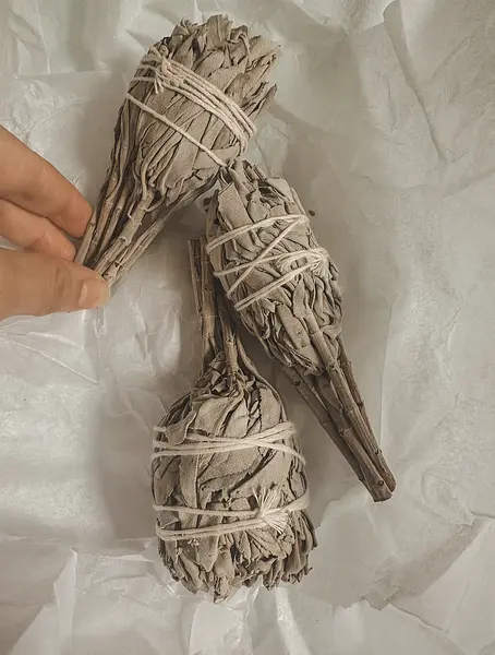 Somatic Yin Yoga Teacher Training - 50 h Yoga Alliance (Hamburg, ohne Unterkunft)