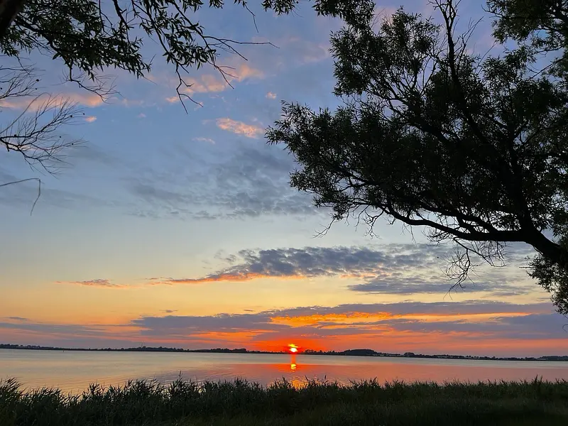 Sonnenuntergan Bodden wie Palmen 2024